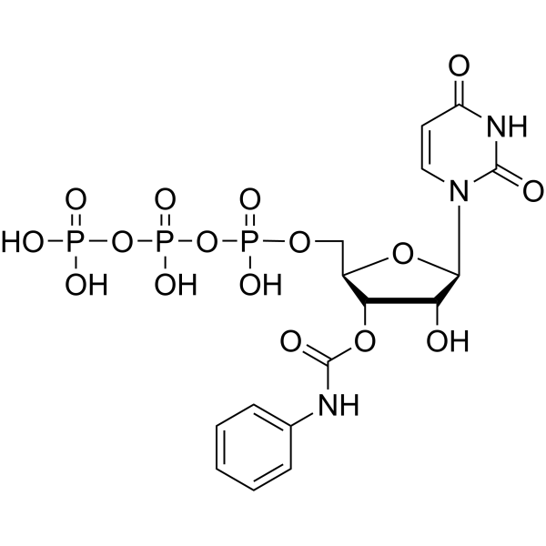 3′-Phenylcarbamate-UTP 401619-08-7